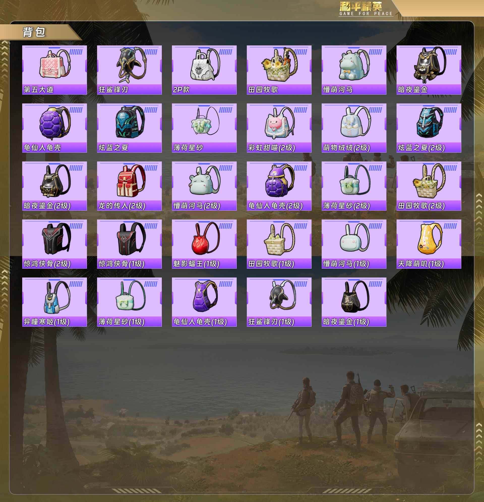 HPQM478726和平精英账号详情图10