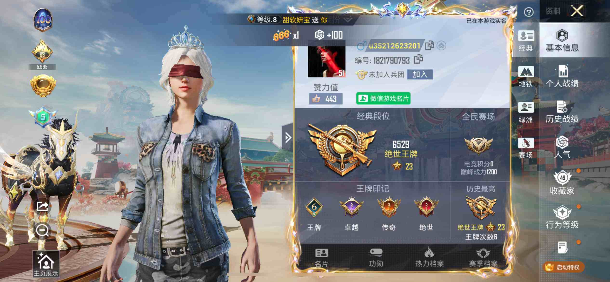 HPDN462505和平精英账号详情图9