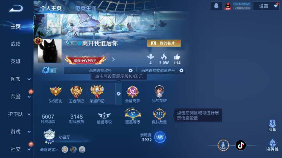 WZQM4124698王者荣耀账号详情图9