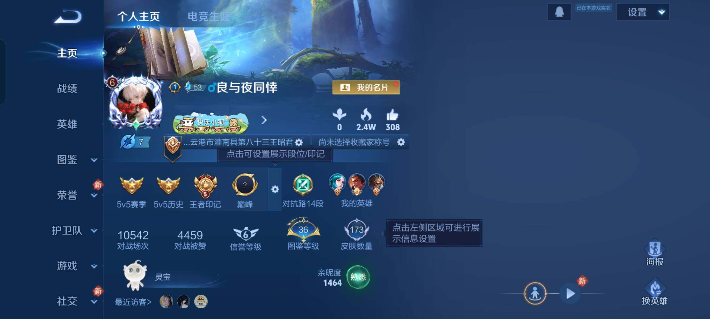 WZKG4119576王者荣耀账号详情图10