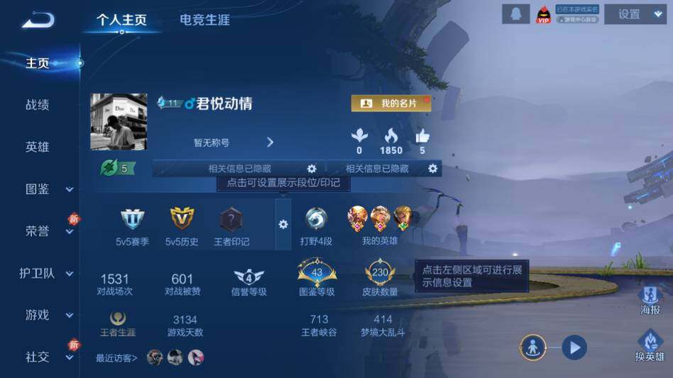 WZQM4124702王者荣耀账号详情图8