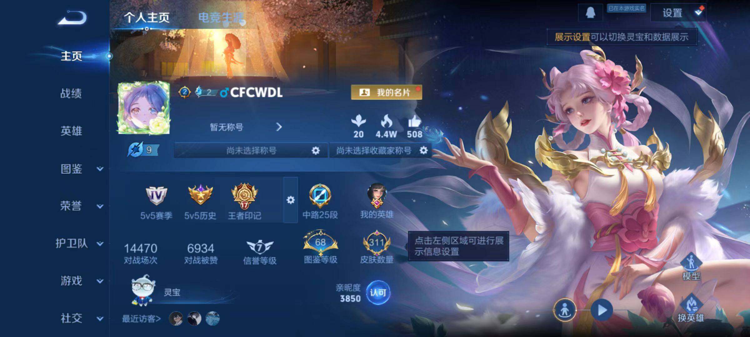 WZLX4131236王者荣耀账号详情图11