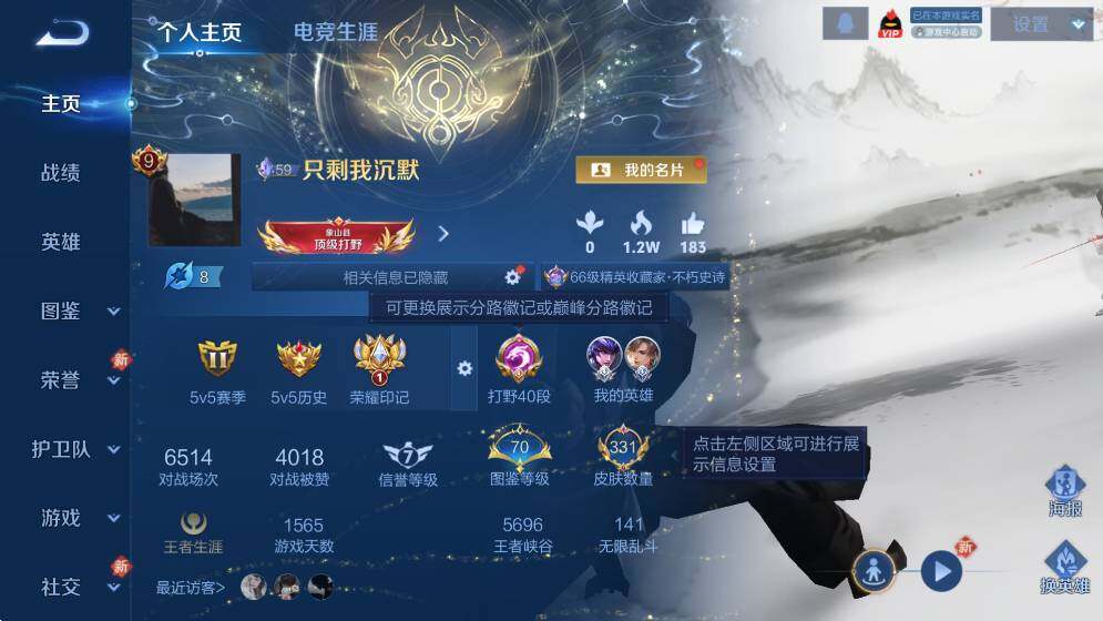 WZCMW4121662王者荣耀账号详情图7