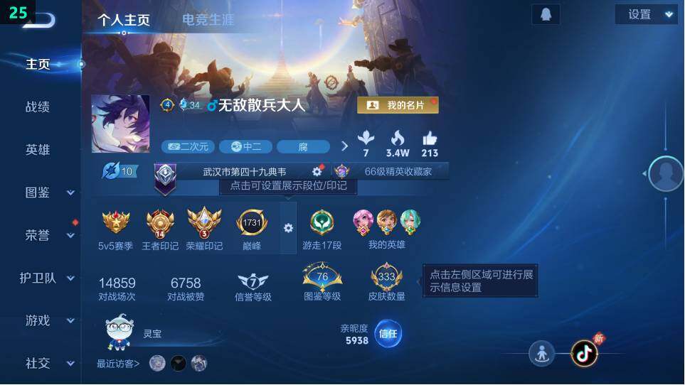 WZ034120364王者荣耀账号详情图11