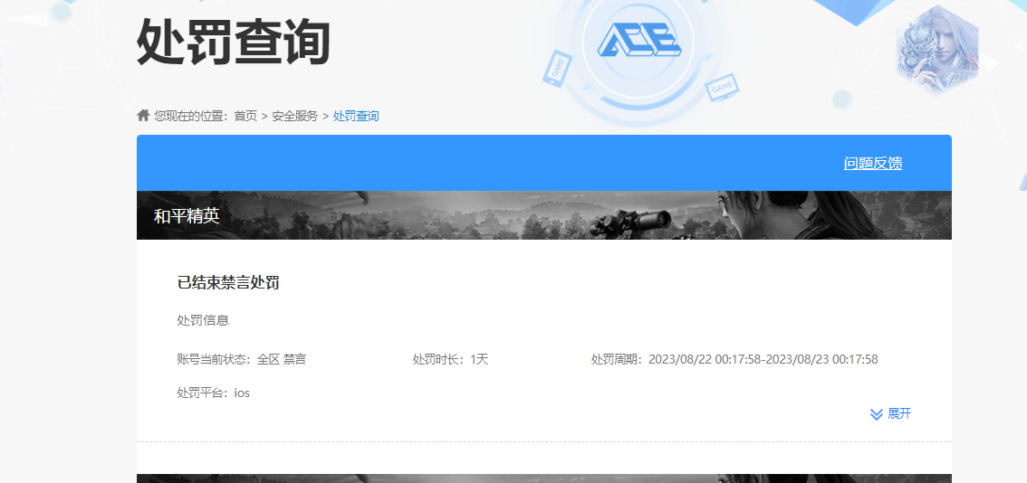 WZKG4134430王者荣耀账号详情图6
