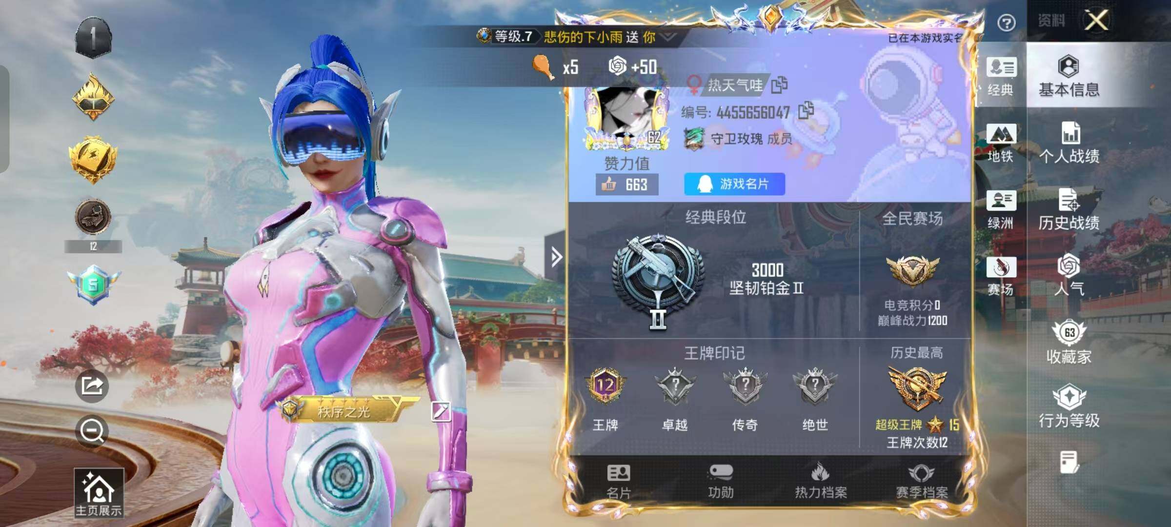 HPKG465355和平精英账号详情图16