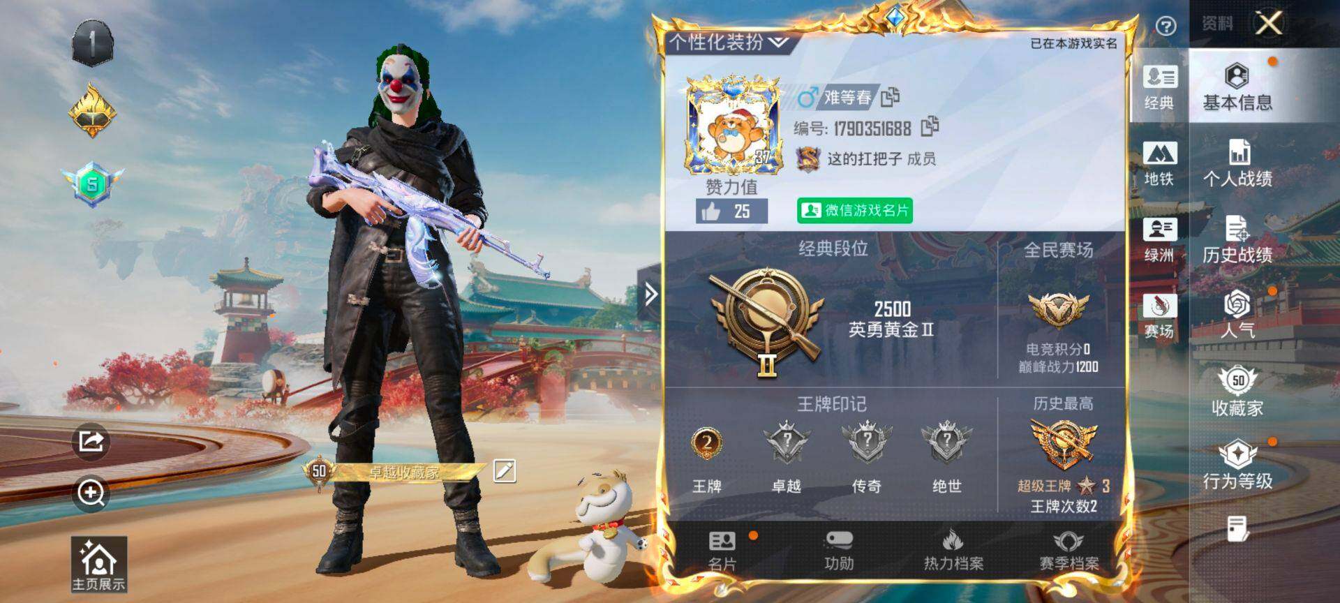 HPQM465633和平精英账号详情图3