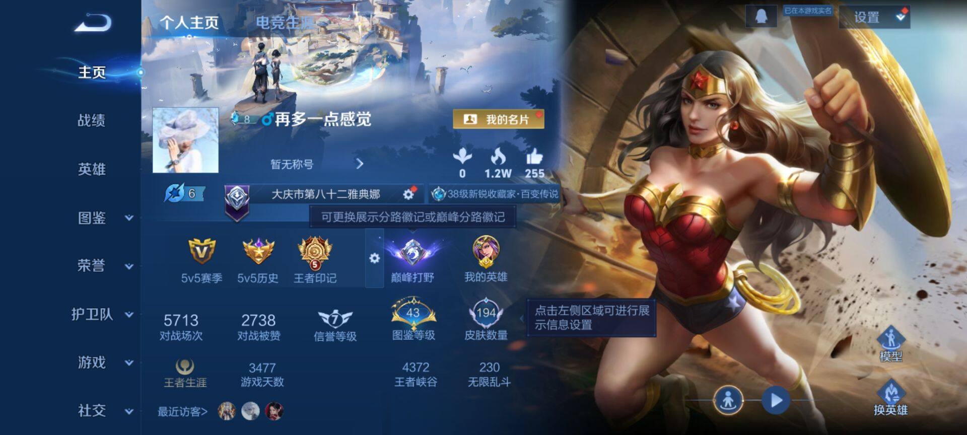 WZQM4121300王者荣耀账号详情图3