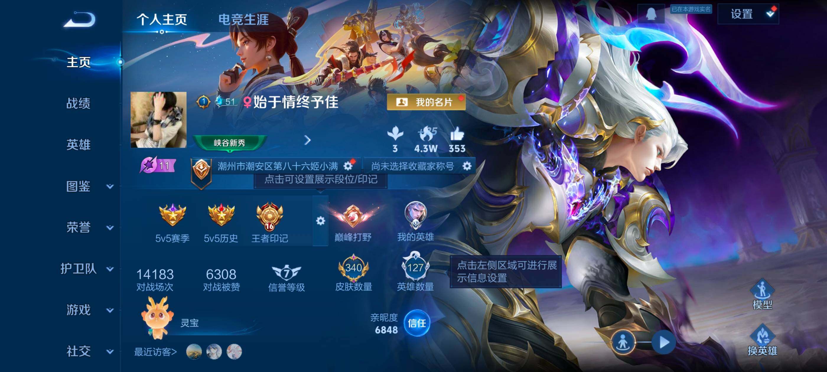 WZDN4121730王者荣耀账号详情图3