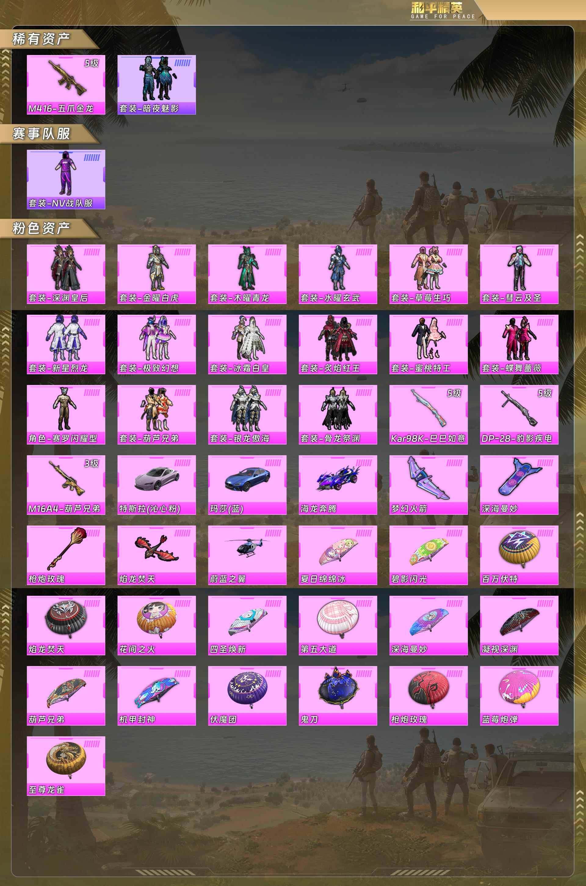 HPCMW485451和平精英账号详情图5