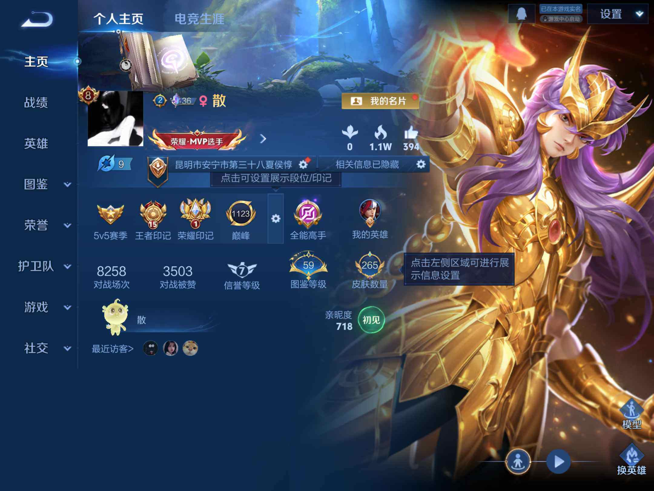 WZKG4136751王者荣耀账号详情图16