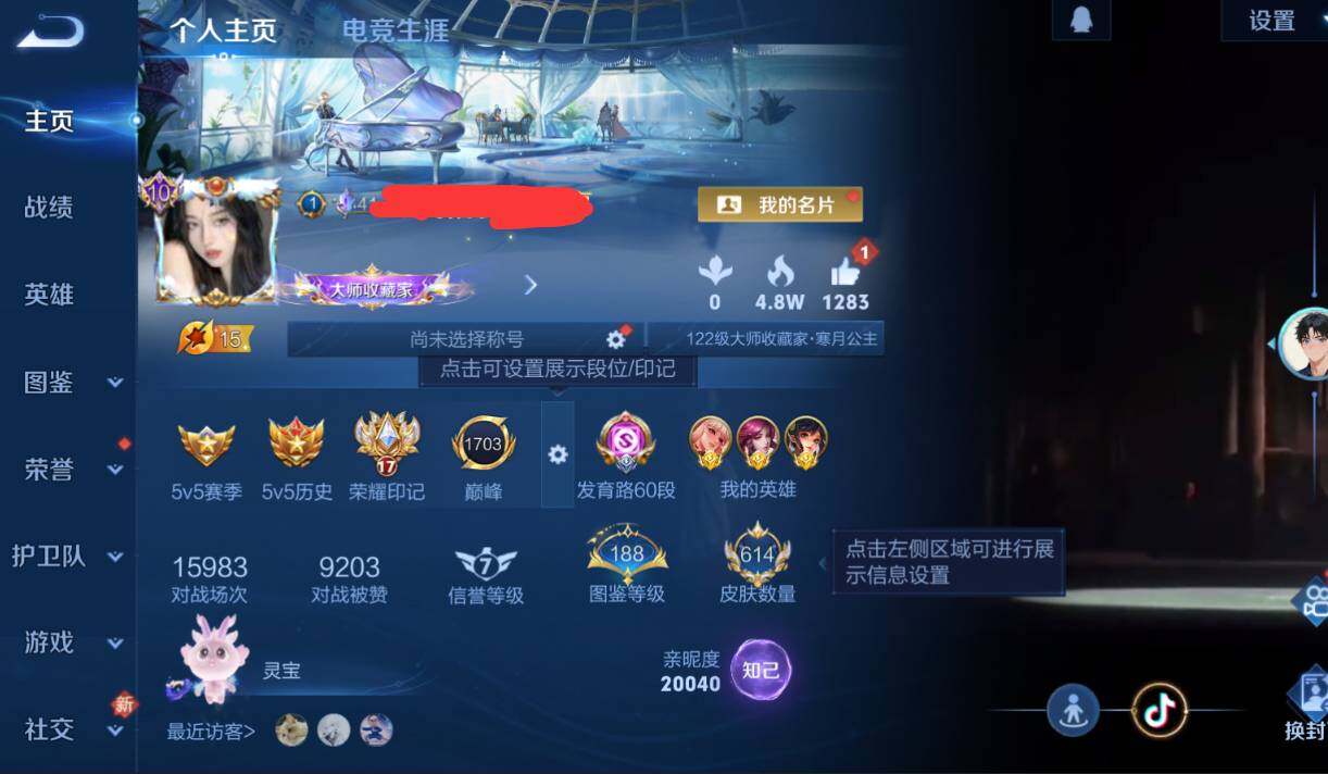 WZQM4133488王者荣耀账号详情图23