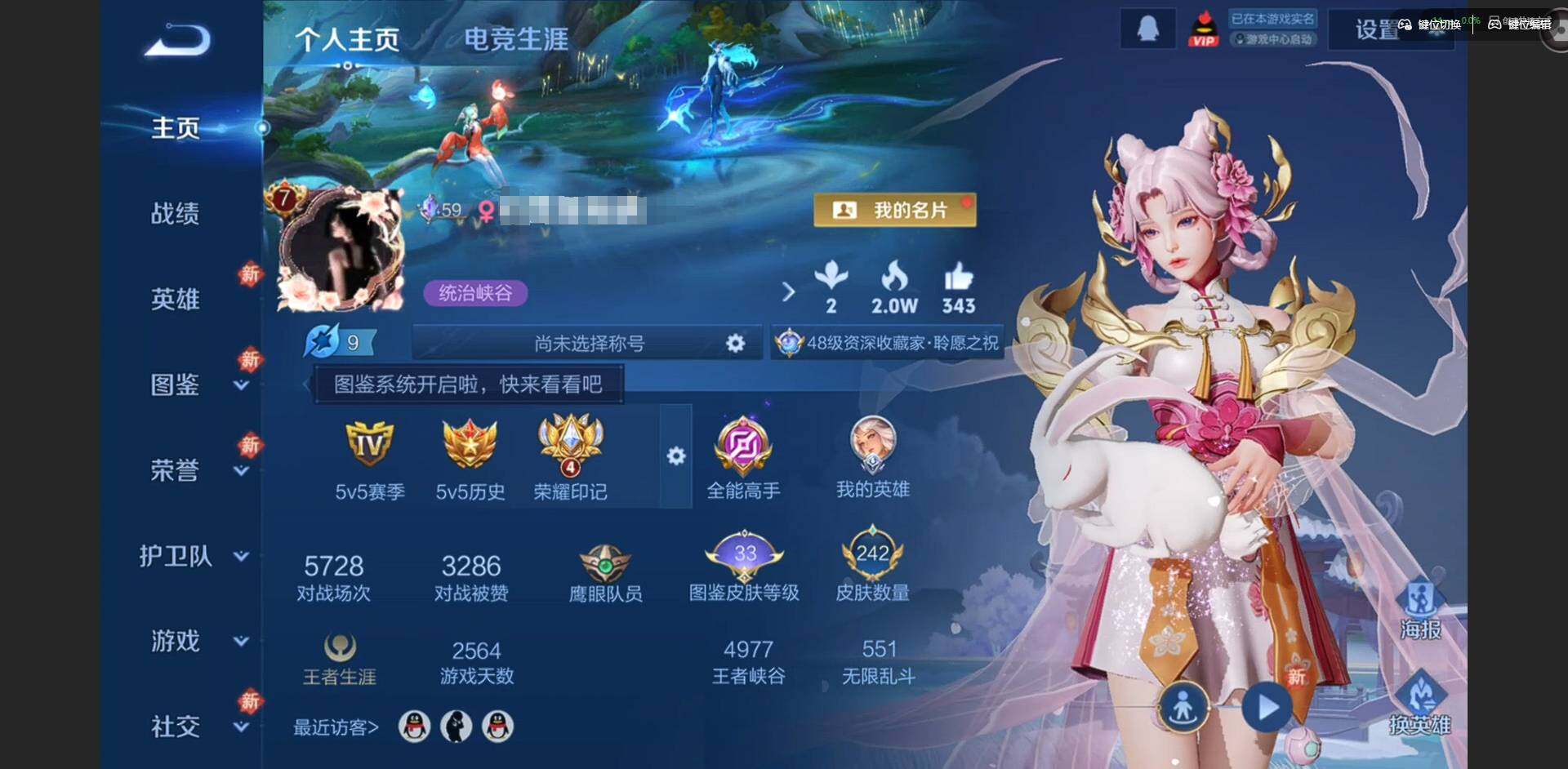 WZQM4135369王者荣耀账号详情图3