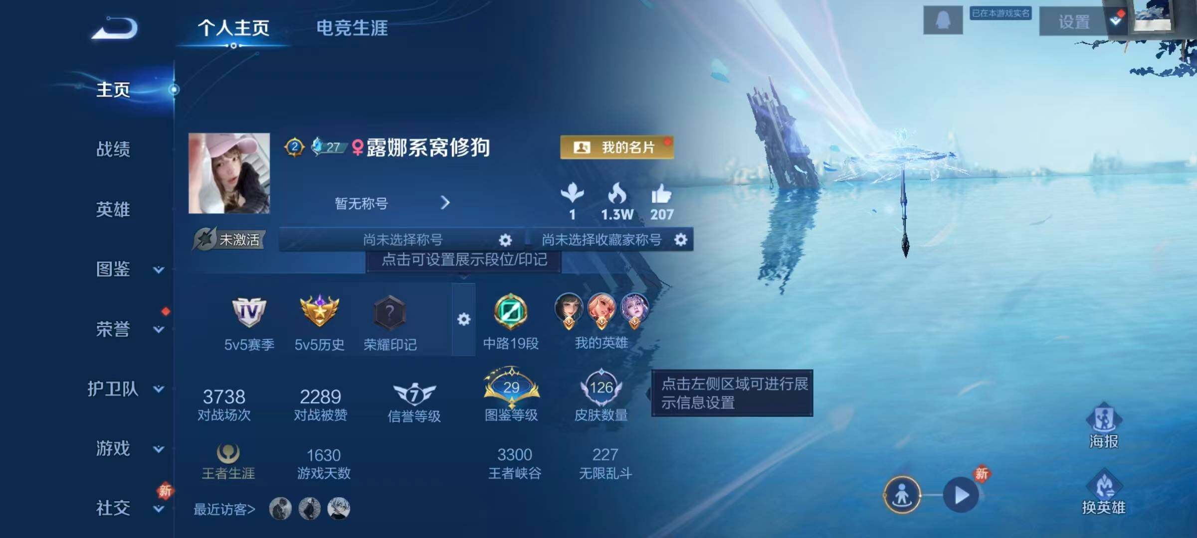 WZQM4132378王者荣耀账号详情图5