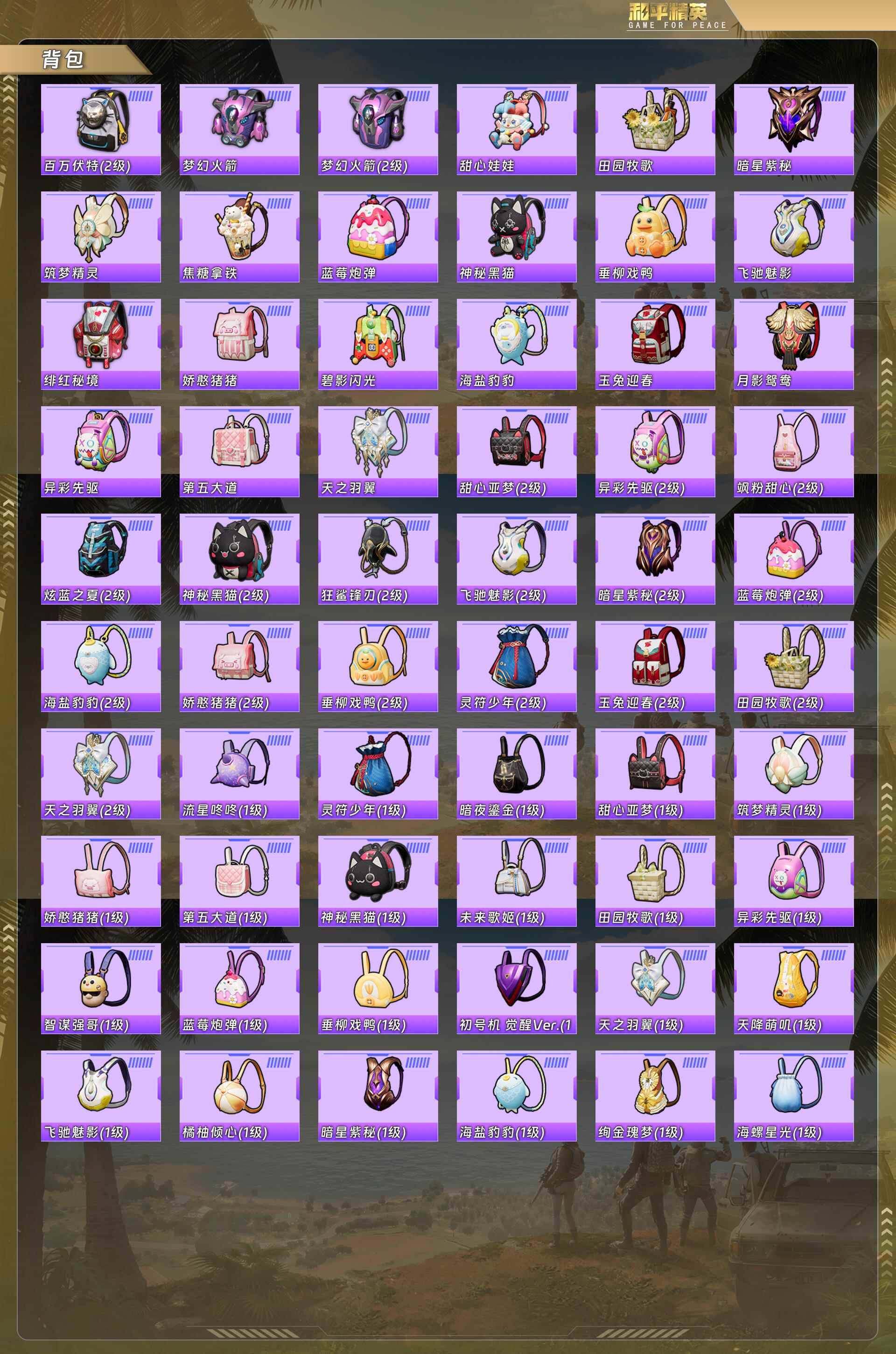 HPCMW488027和平精英账号详情图9