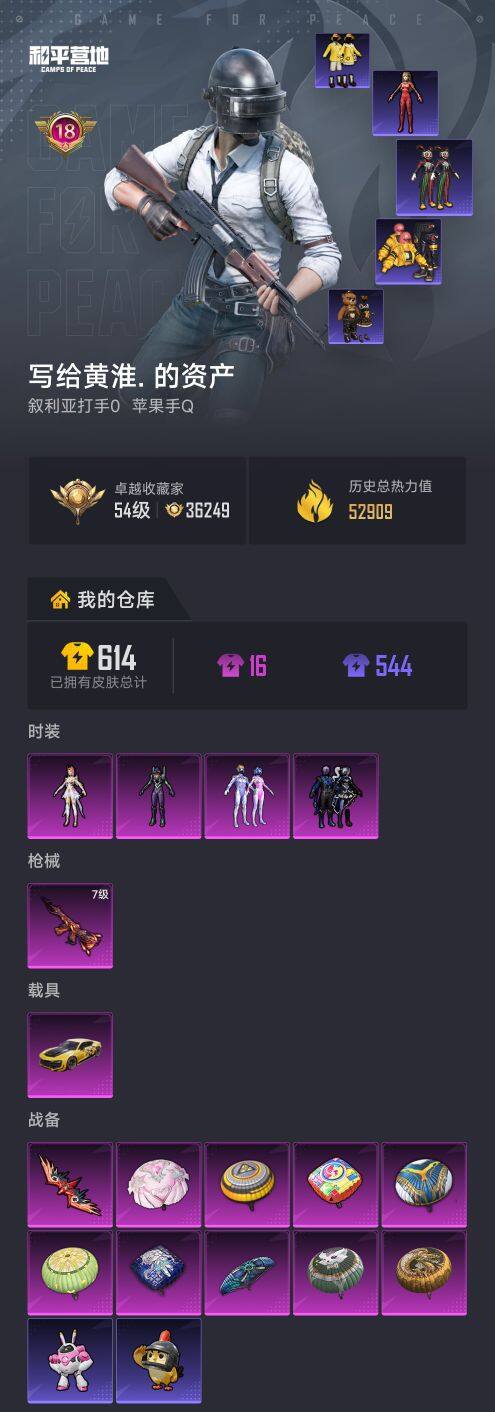 HPCMW475794和平精英账号详情图5