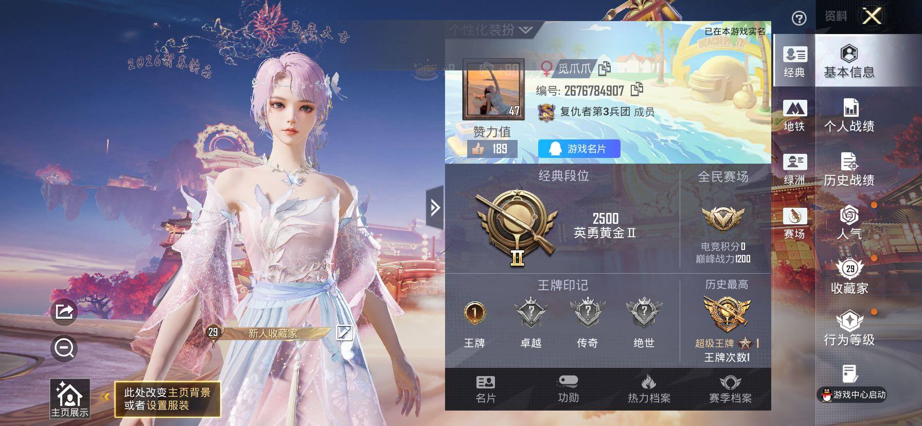 HPCMW480117和平精英账号详情图2