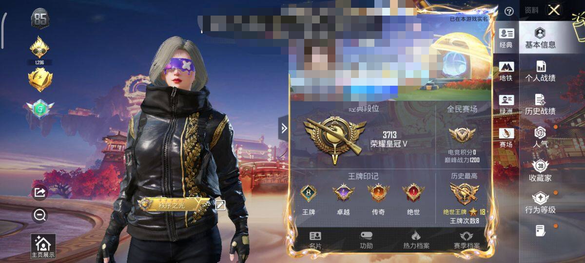 HPEY479382和平精英账号详情图4