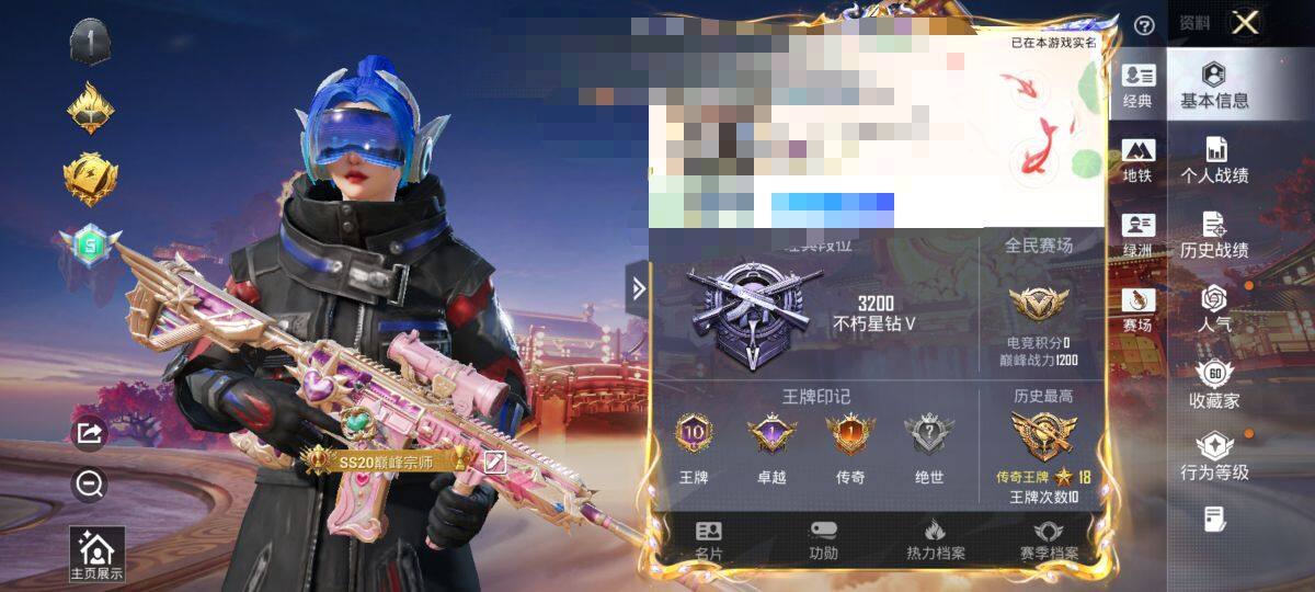 HPQM479454和平精英账号详情图7