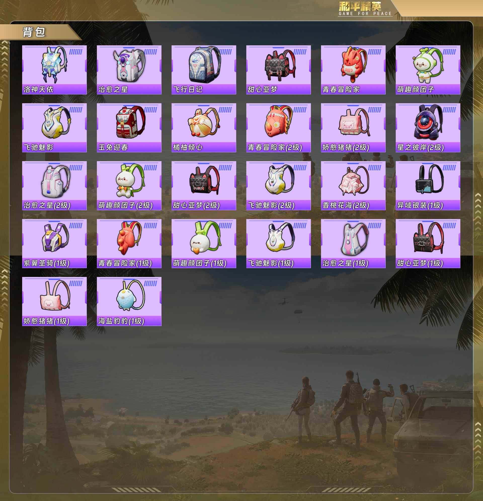 HPQM478645和平精英账号详情图10