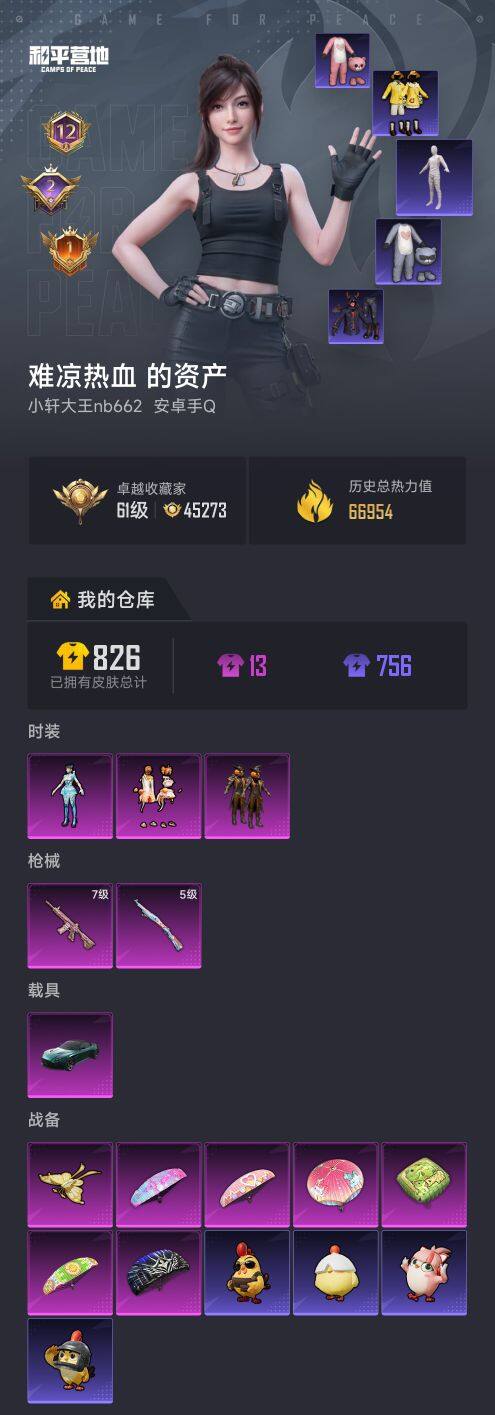 HPCMW479593和平精英账号详情图6