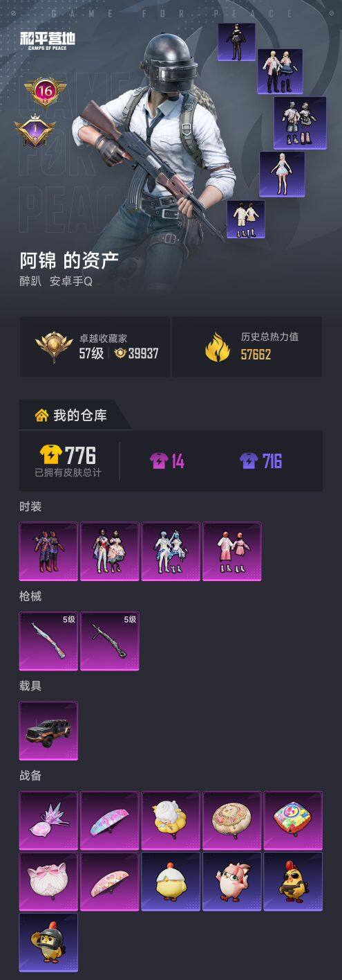 HPQM479291和平精英账号详情图6