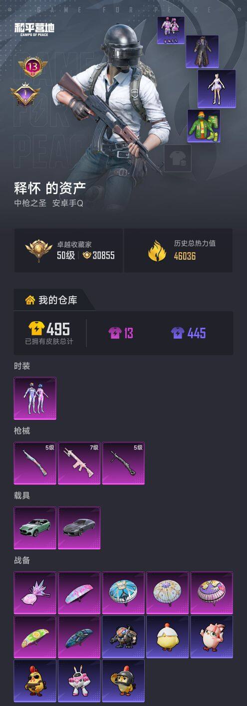 HPCMW480034和平精英账号详情图5