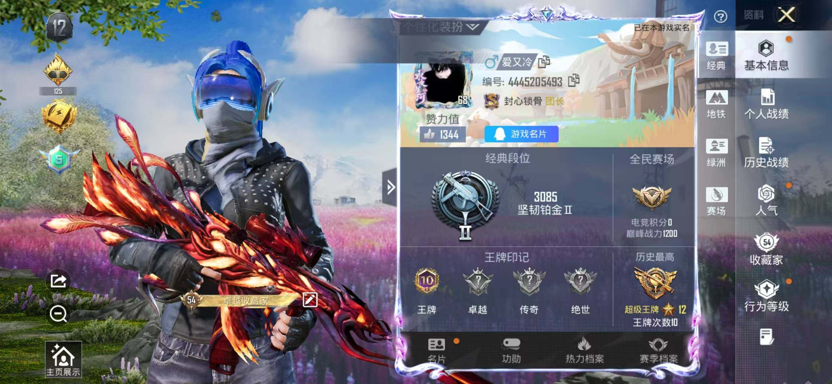 WZCMW4147803王者荣耀账号详情图15