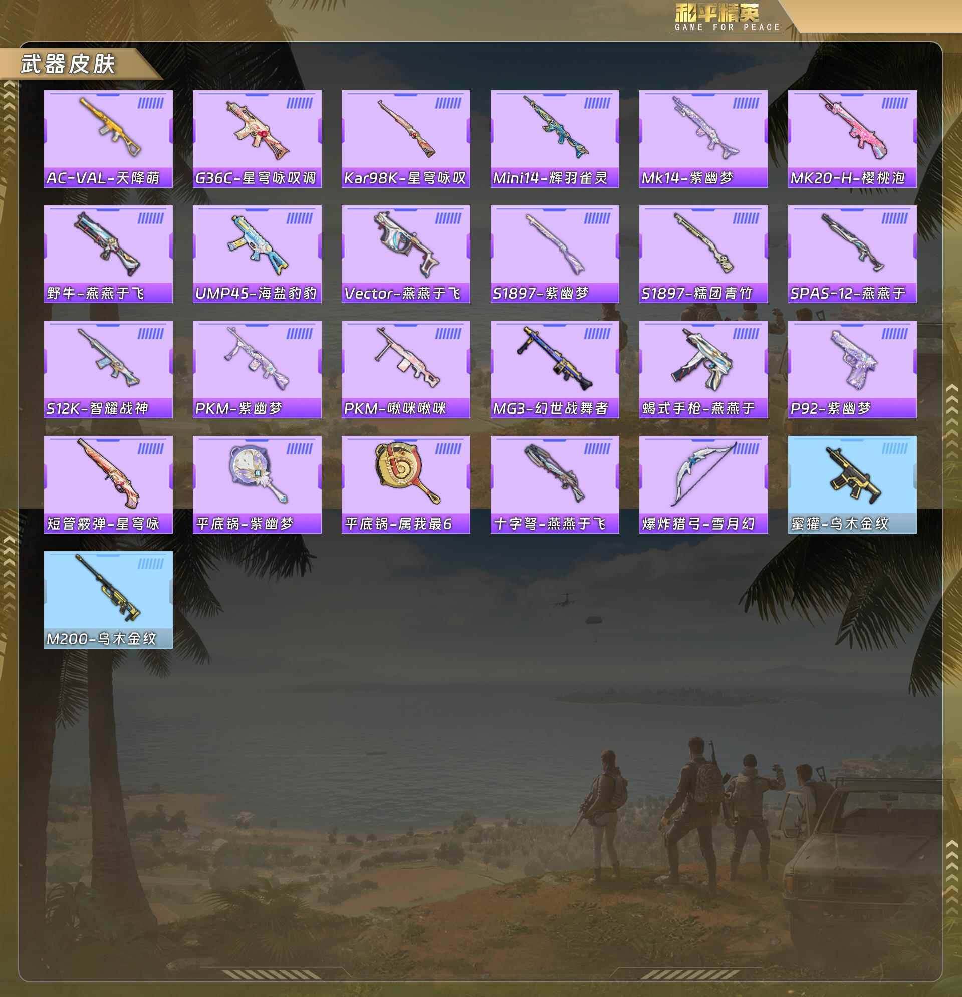 HPQM494893和平精英账号详情图7