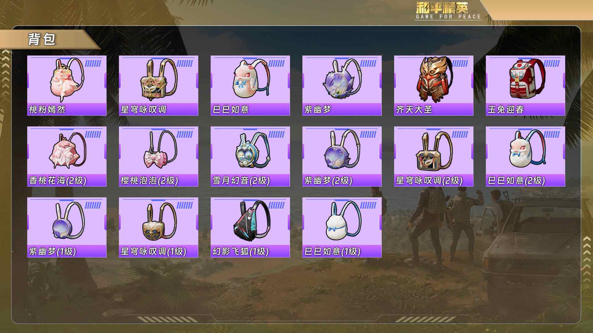 HPQM494893和平精英账号详情图10