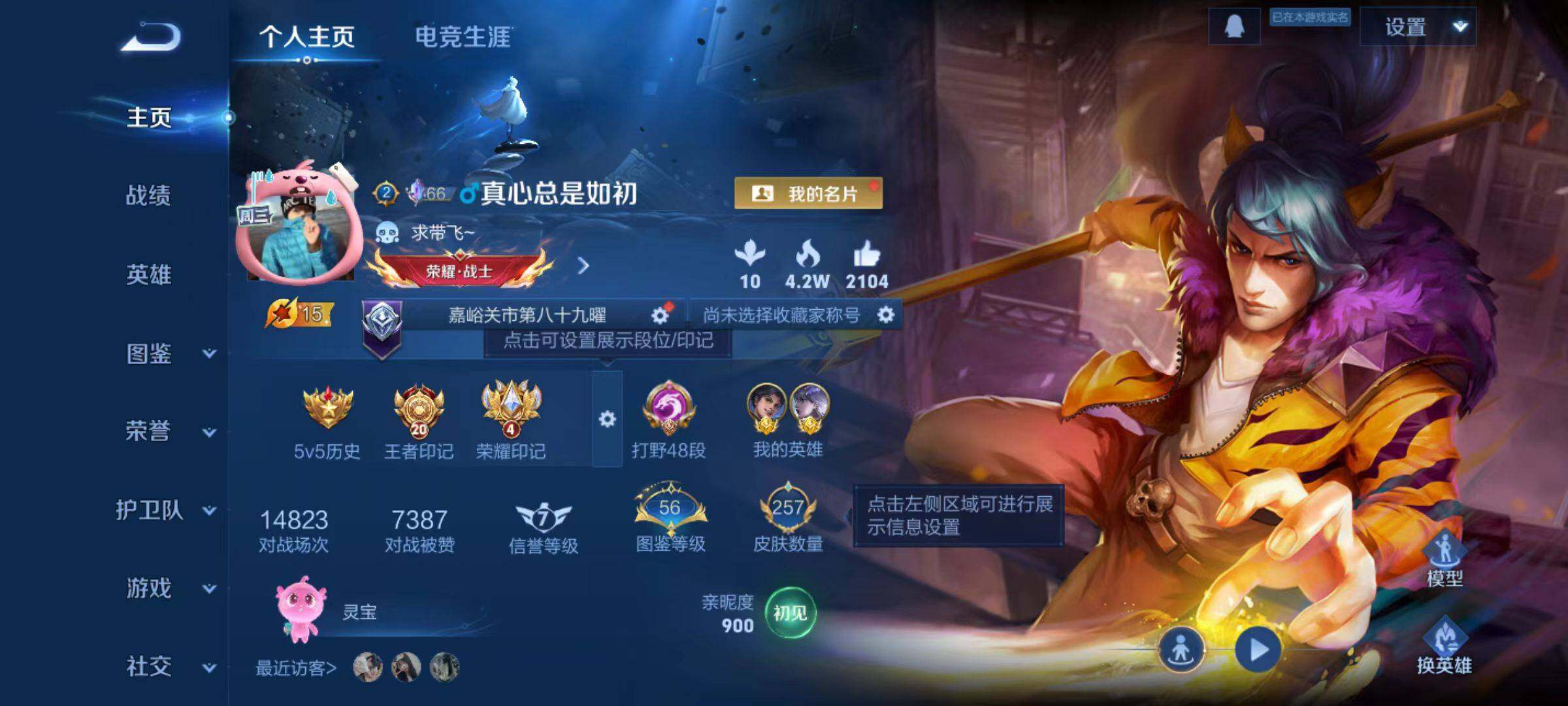 WZLX4149849王者荣耀账号详情图11