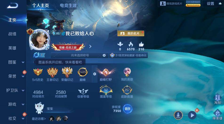 WZLX4154779王者荣耀账号详情图6 WZLX4154779王者荣耀账号详情图6