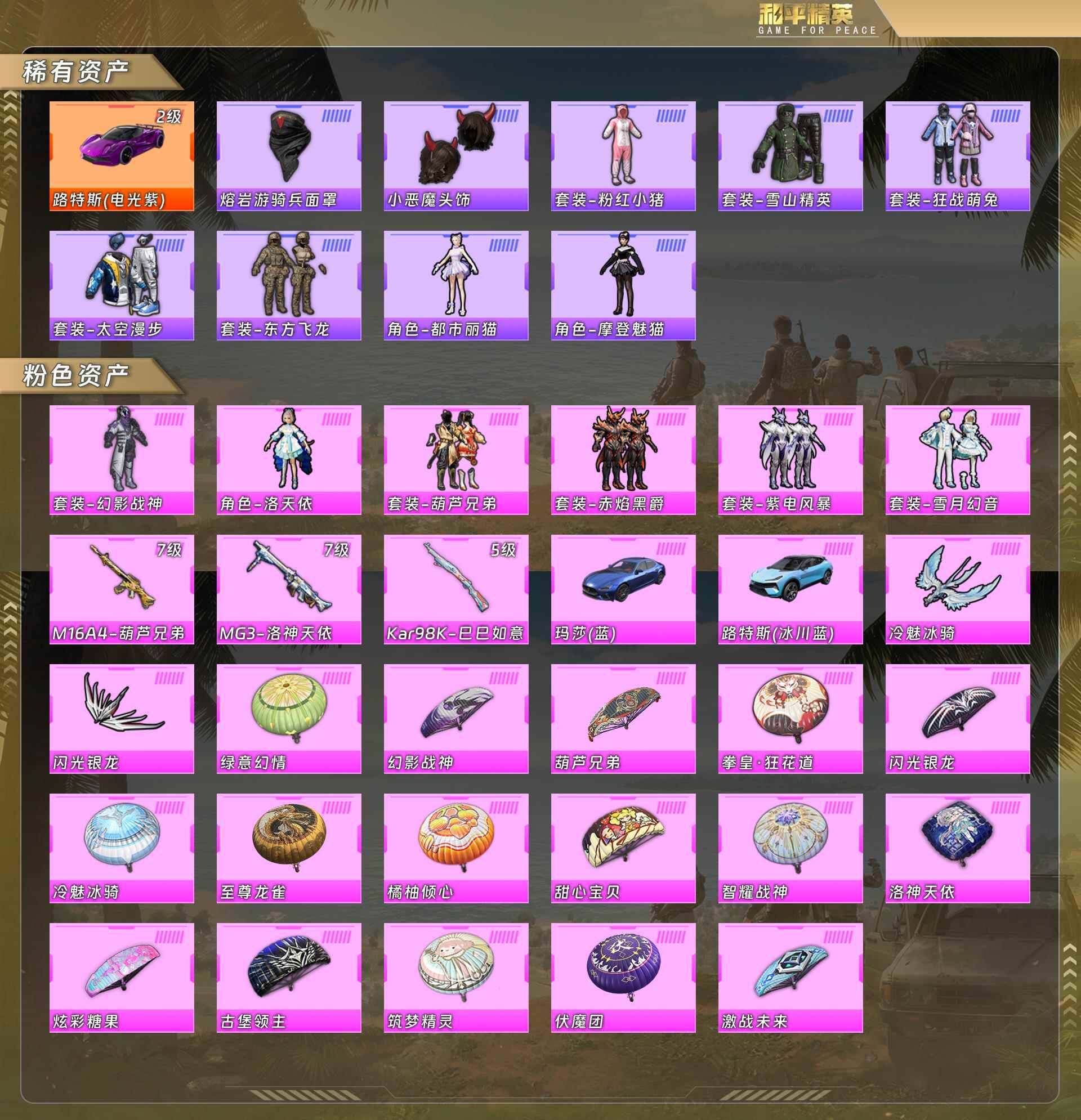 HPCMW4100533和平精英账号详情图4