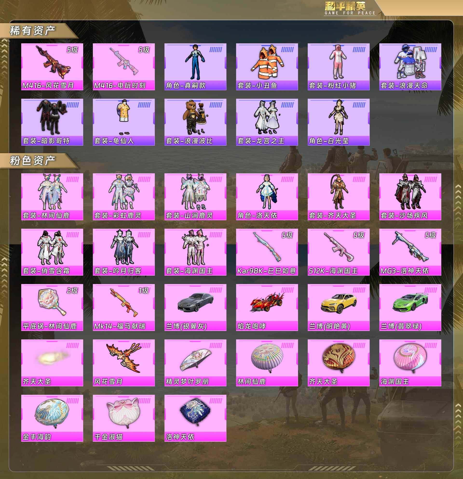 HPQM4102857和平精英账号详情图5 HPQM4102857和平精英账号详情图5