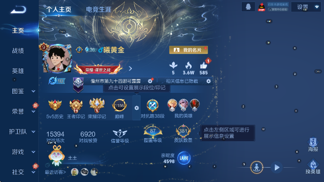 WZCMW4168341王者荣耀账号详情图9