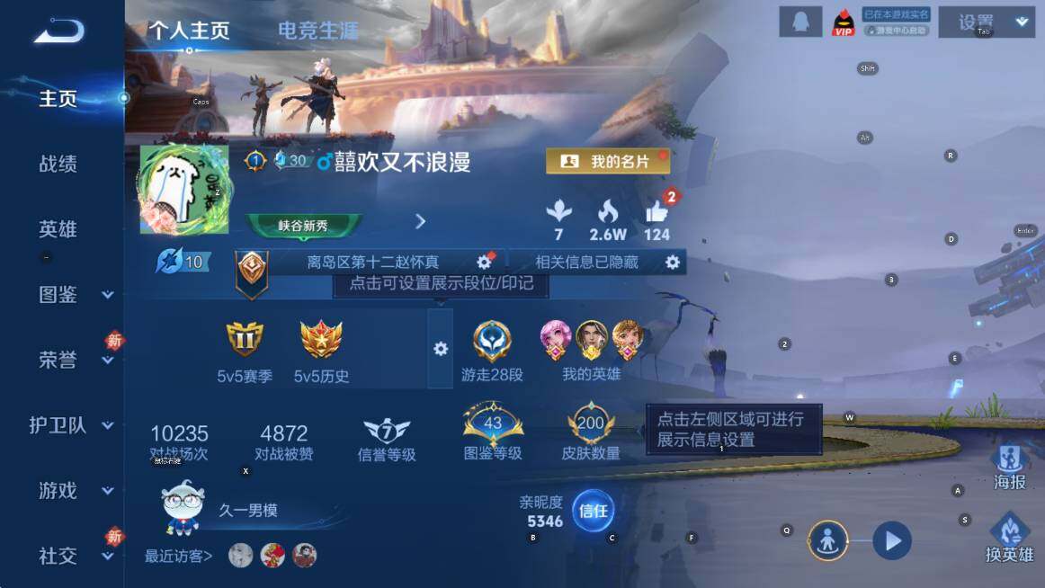 WZCMW4165966王者荣耀账号详情图10