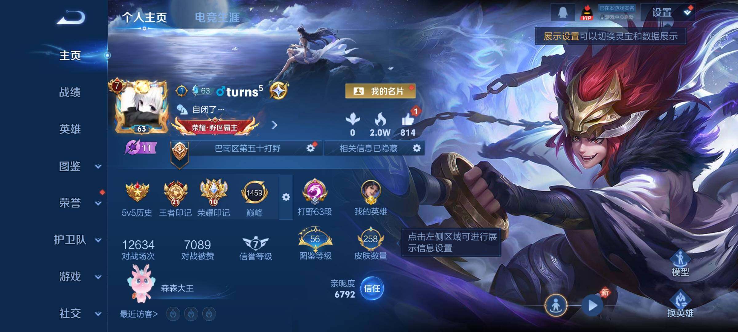 WZCMY4167253王者荣耀账号详情图2