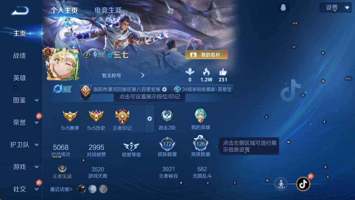 WZCMW4167632王者荣耀账号详情图5