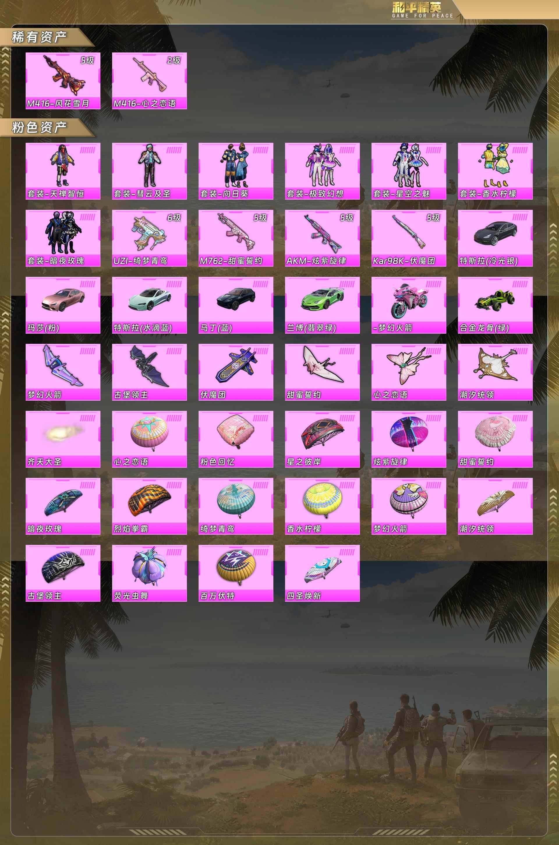 HPCMW4109834和平精英账号详情图4