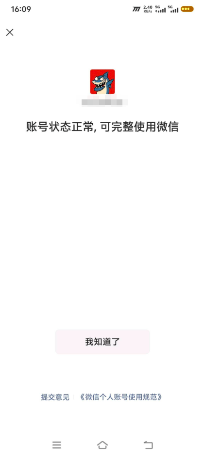 WZCMW4173194王者荣耀账号详情图25