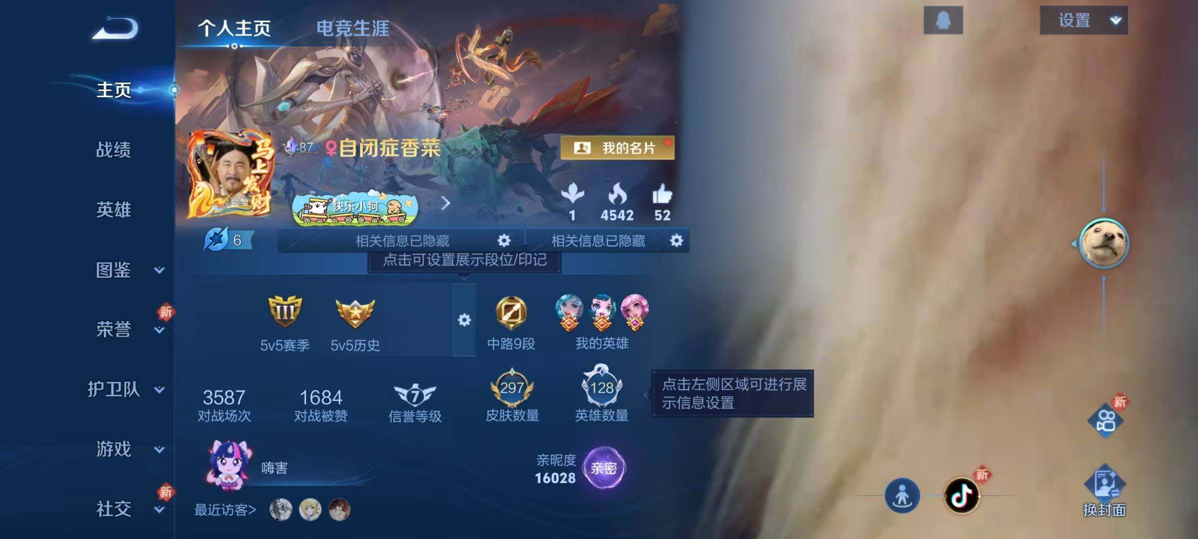 WZJZ4191980王者荣耀账号详情图7