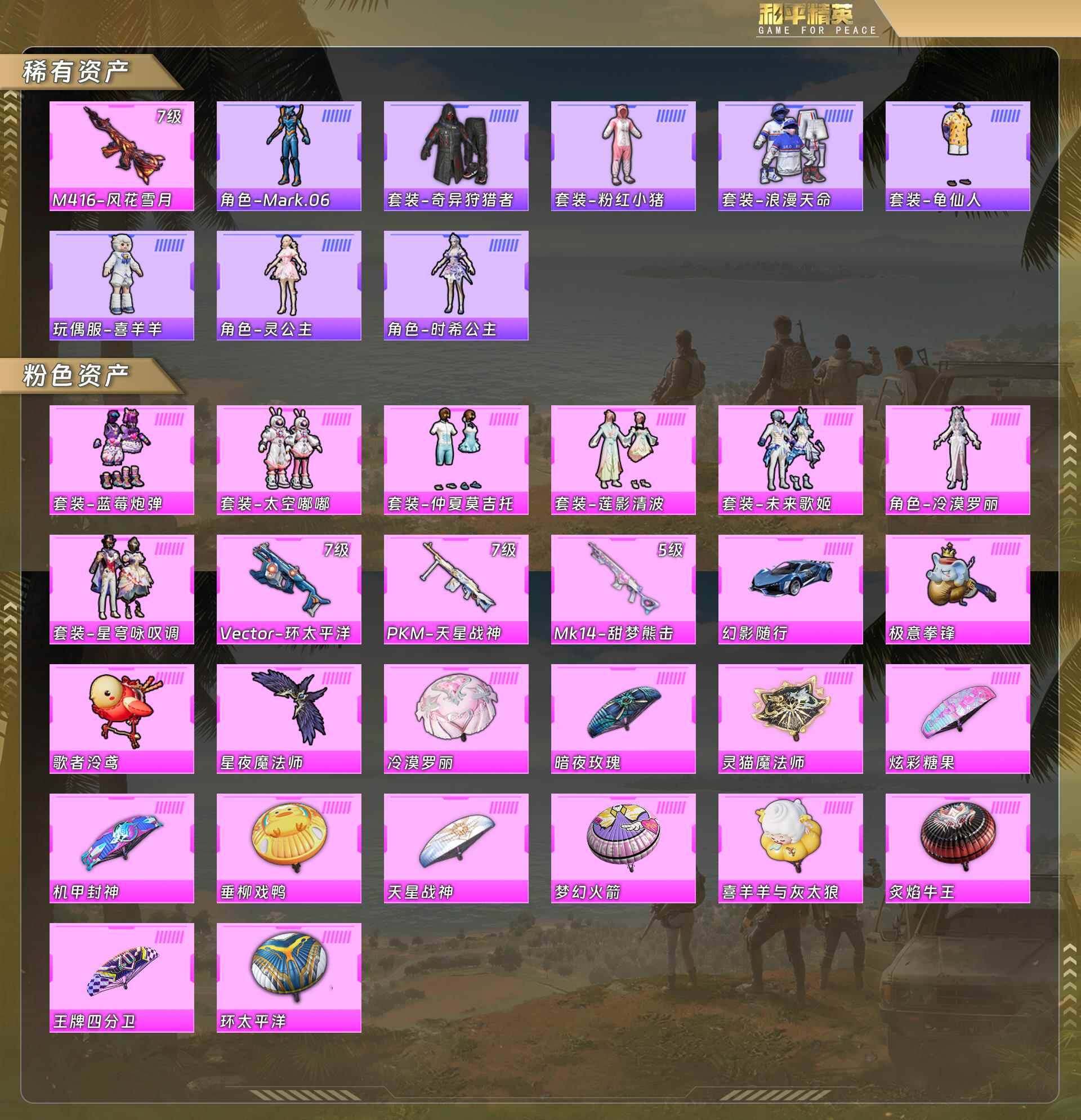 HPCMW4126942和平精英账号详情图4