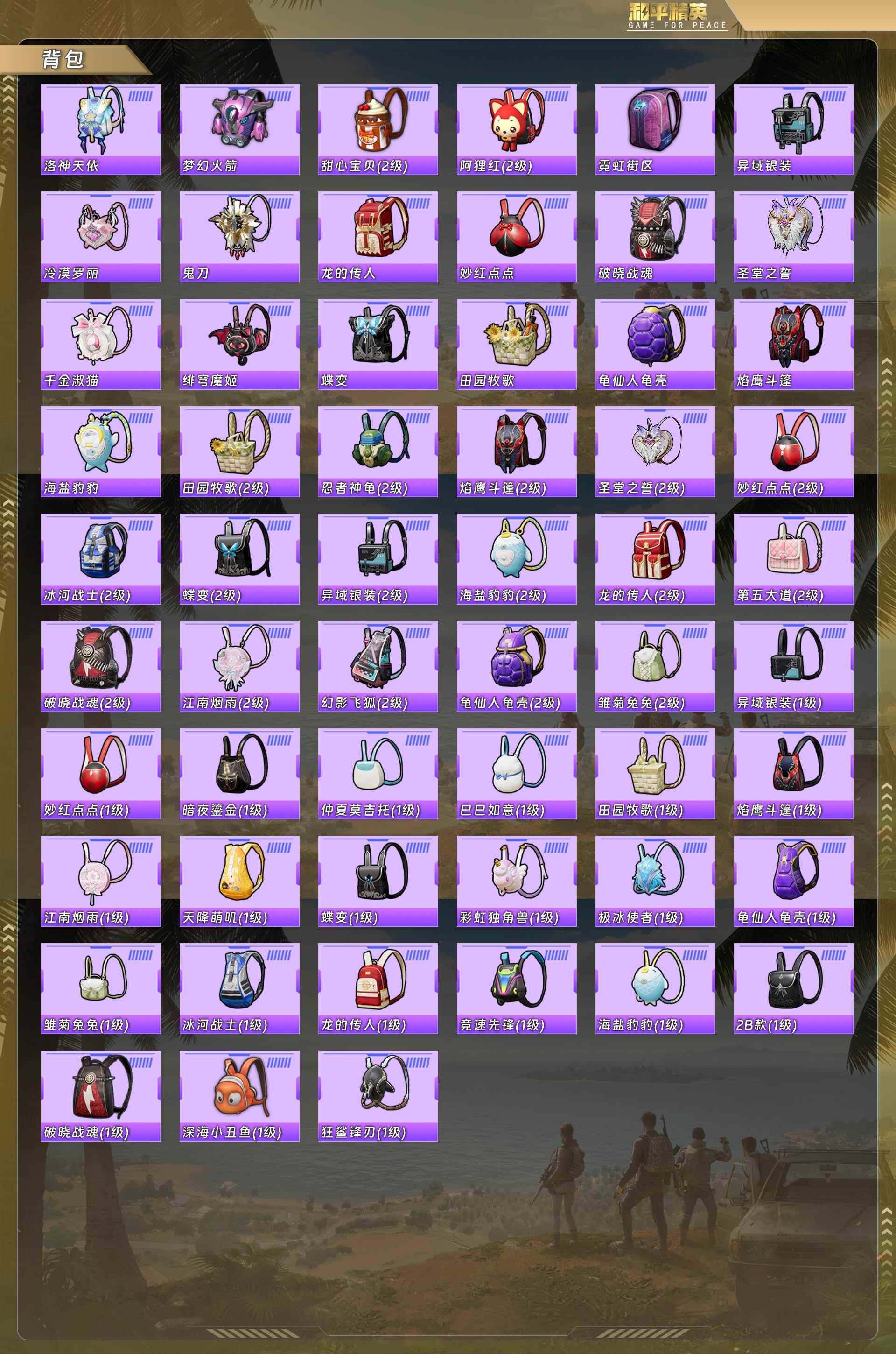 HPCMW4110102和平精英账号详情图9