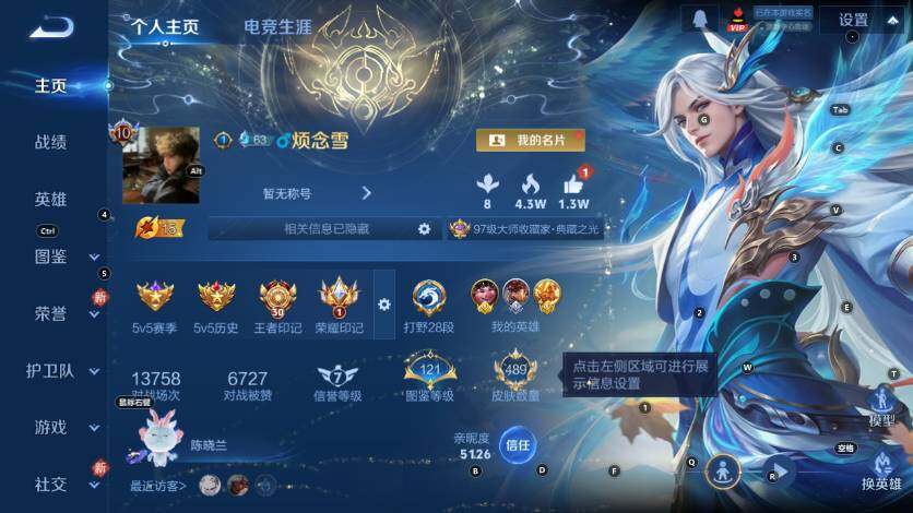 WZLX4217974王者荣耀账号详情图12