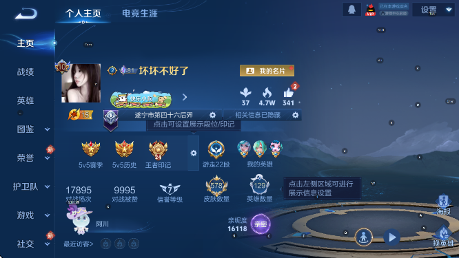 WZCMW4175052王者荣耀账号详情图12