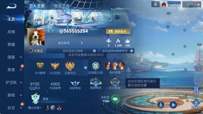 WZCMW4175154王者荣耀账号详情图7