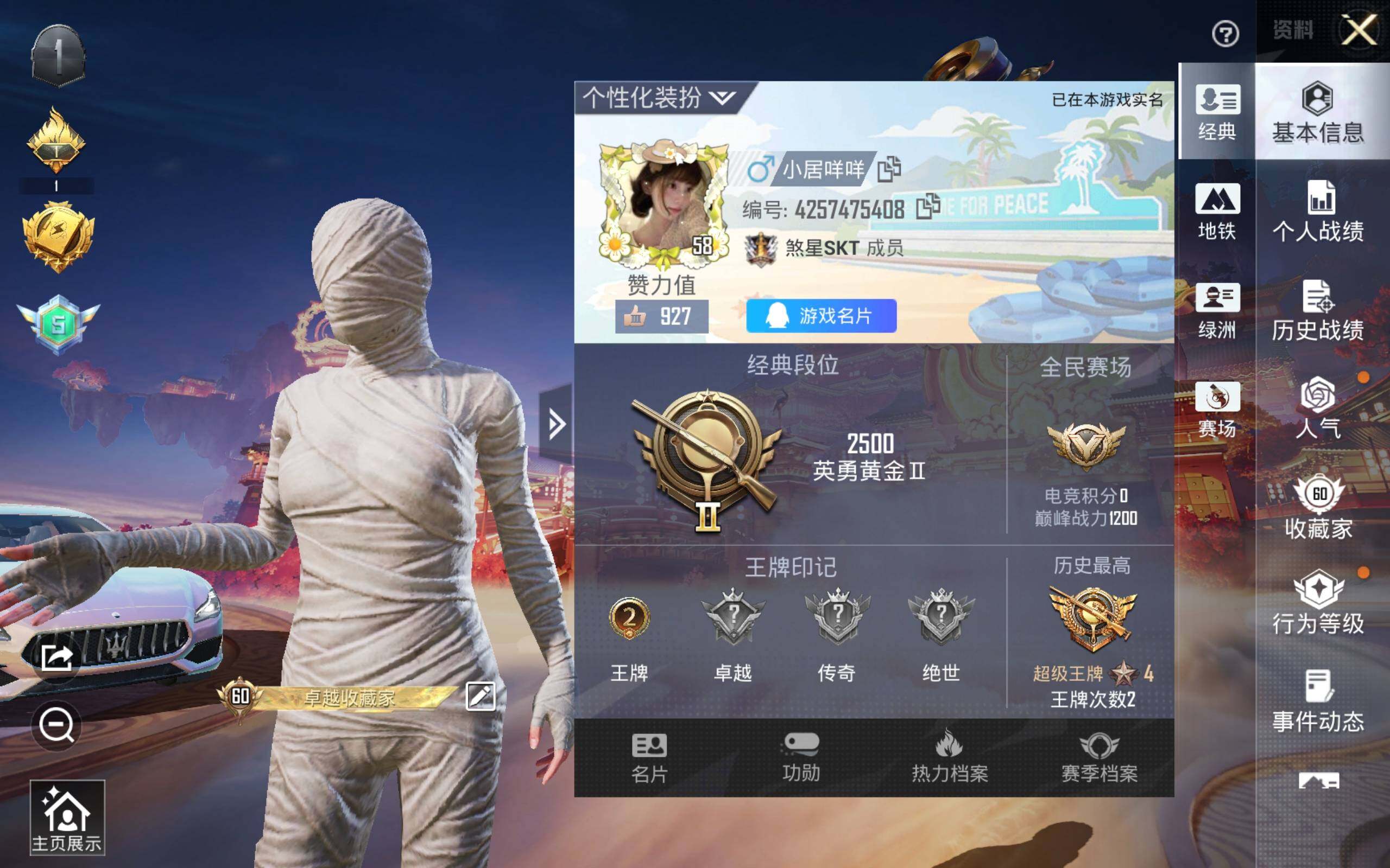 HPCMW4112528和平精英账号详情图2