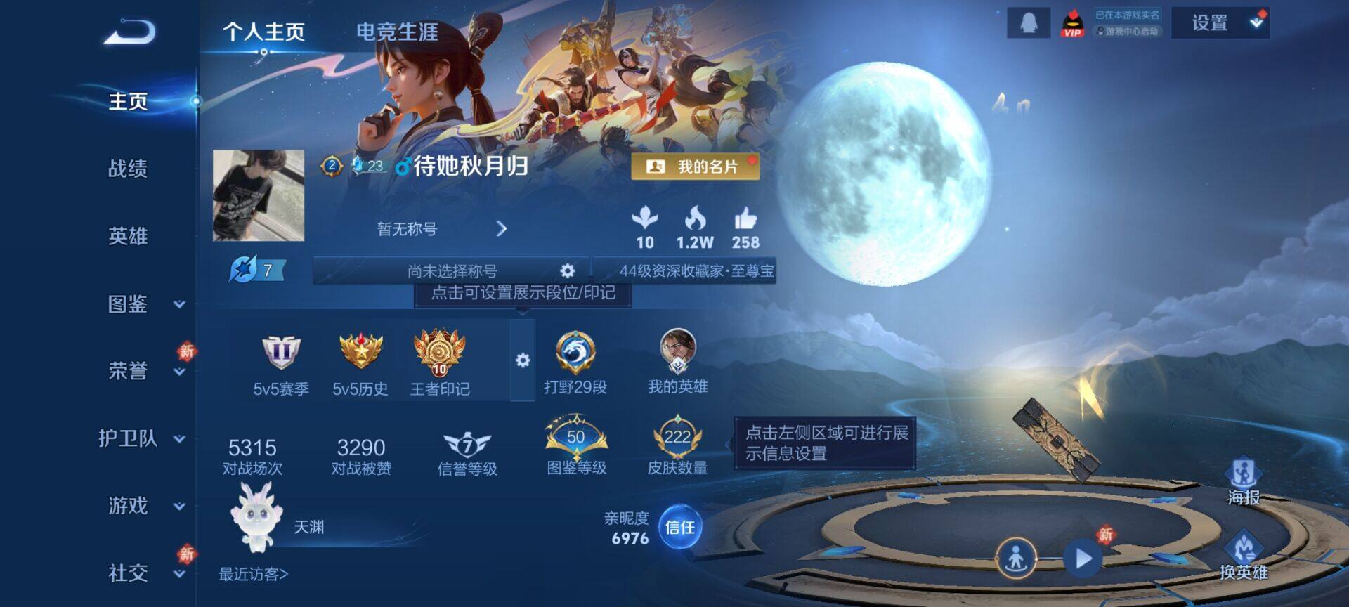 WZQM4185400王者荣耀账号详情图15