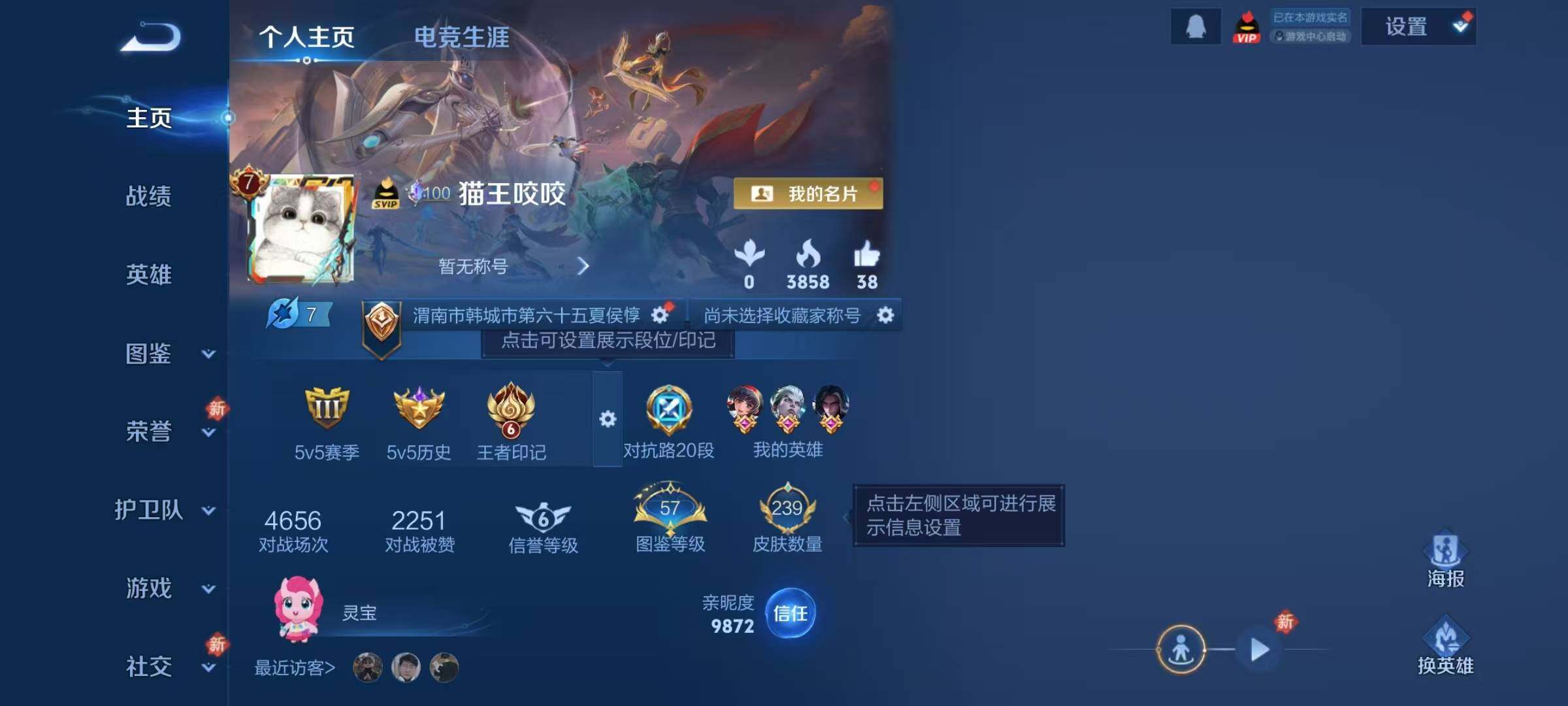 WZJZ4194671王者荣耀账号详情图6