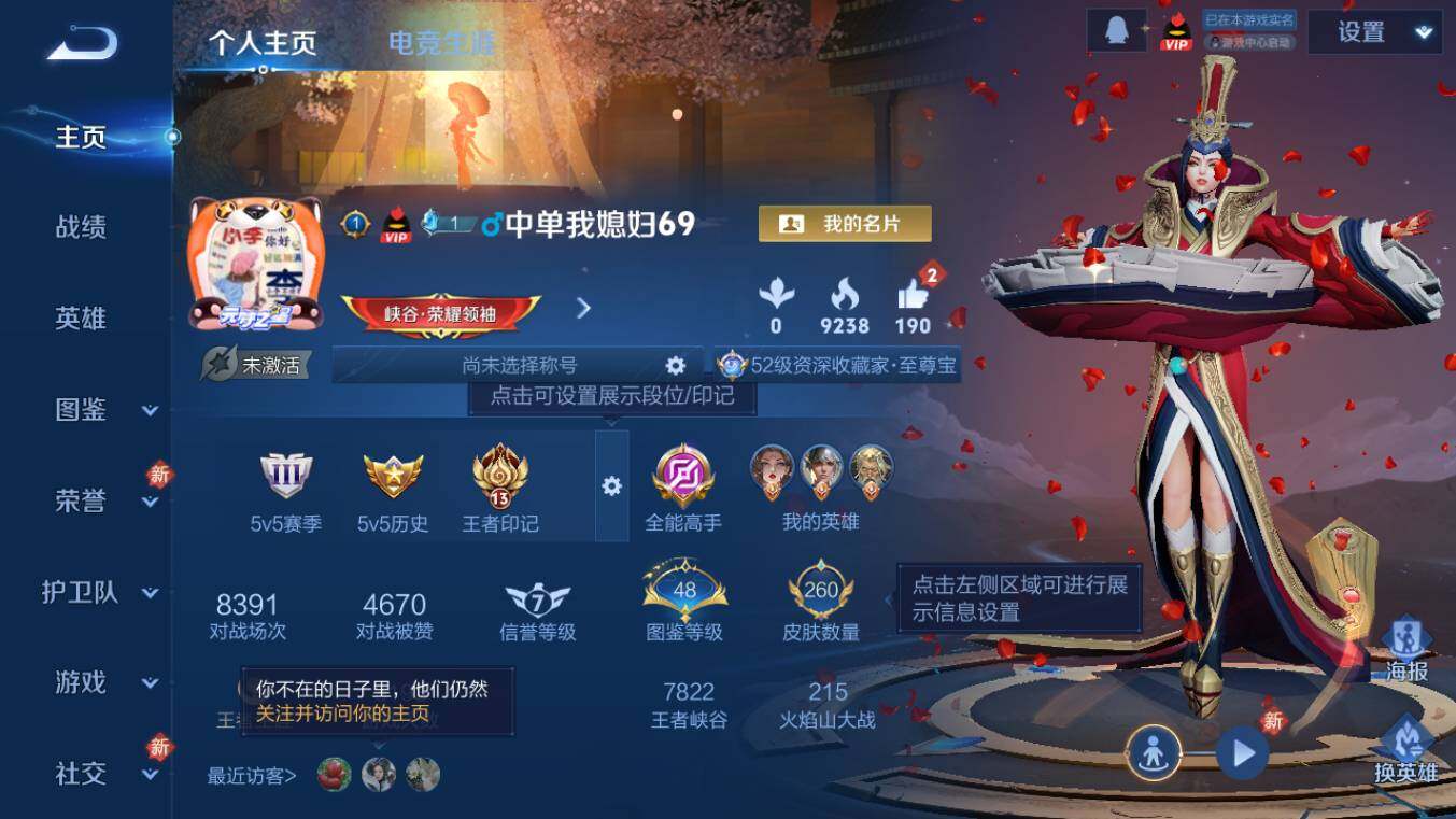 WZCMW4189617王者荣耀账号详情图2